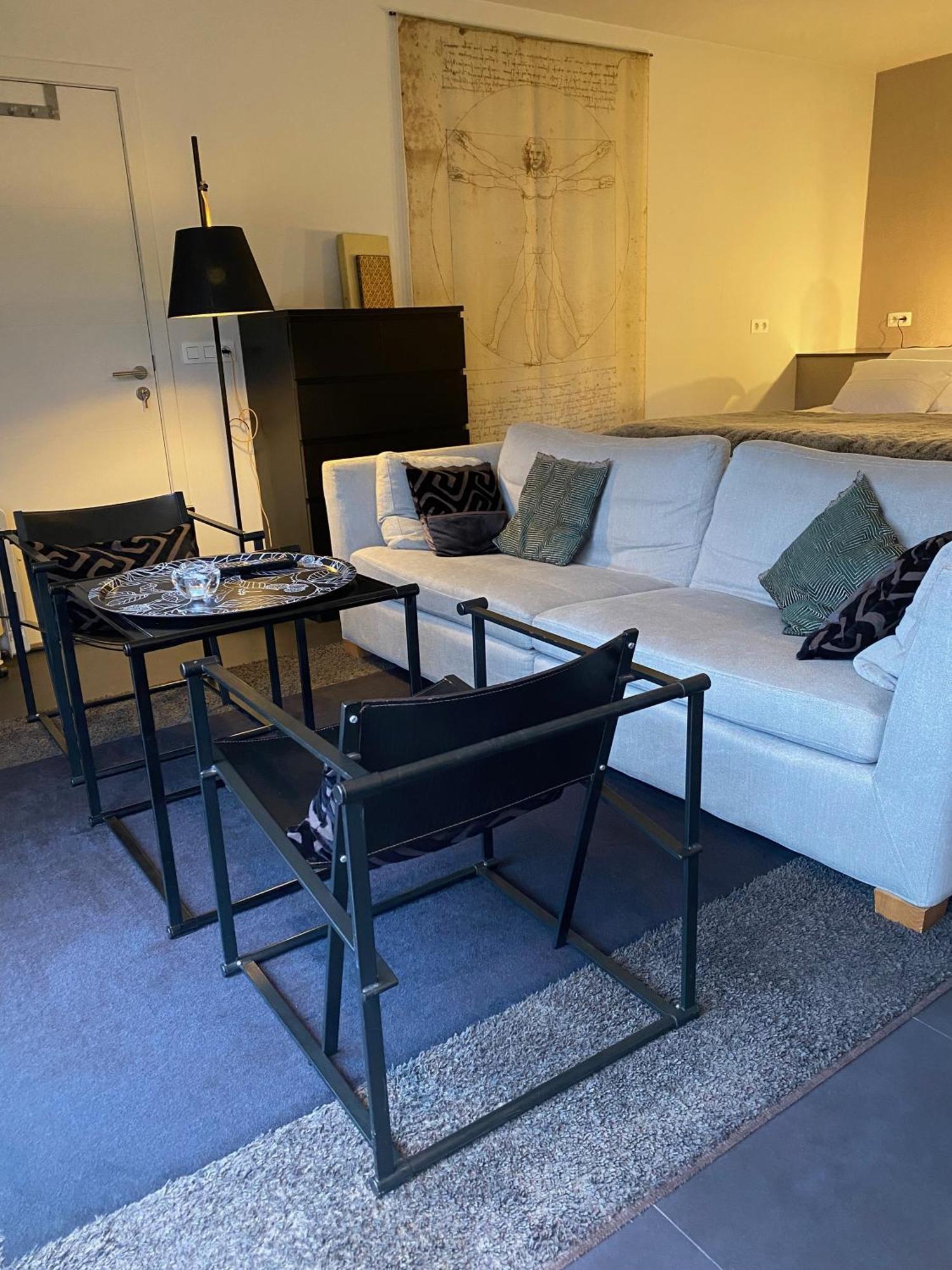 Studio & Appartement Au Lac サルト・レ・スパ 部屋 写真